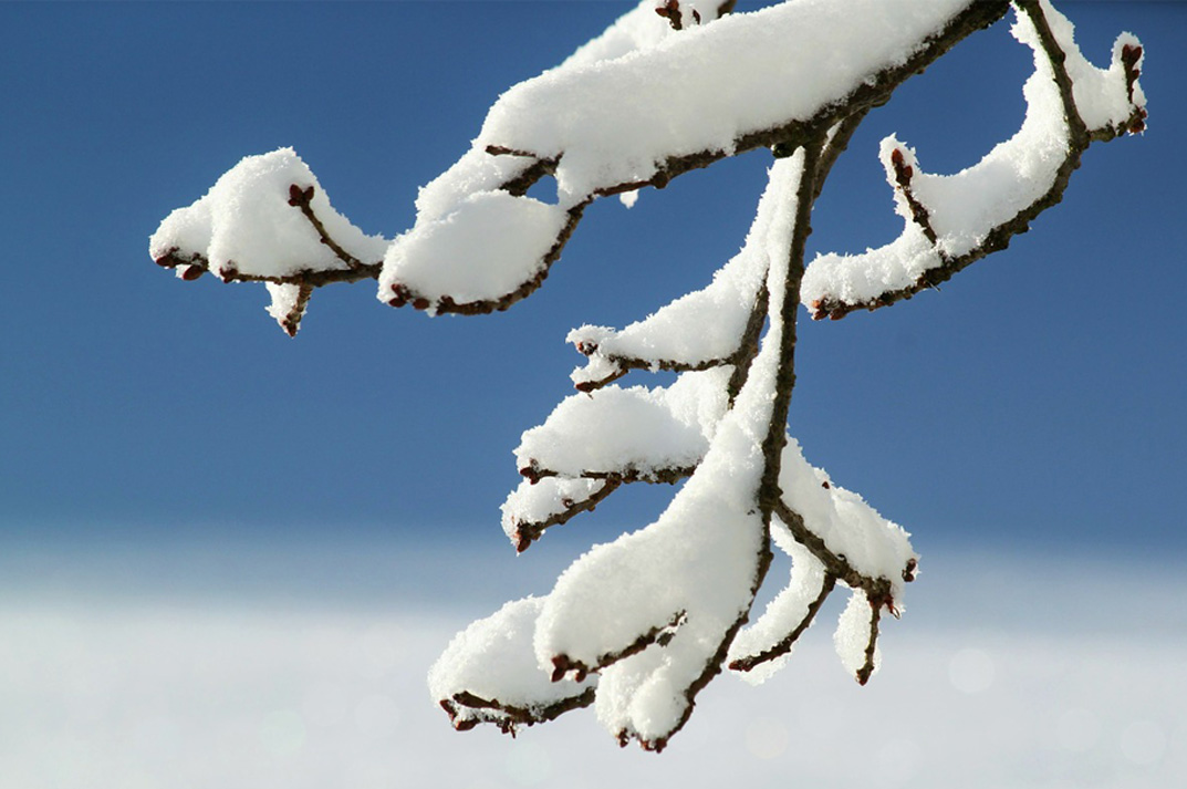 Edito Décembre 2014 : Rapport d’évaluation externe