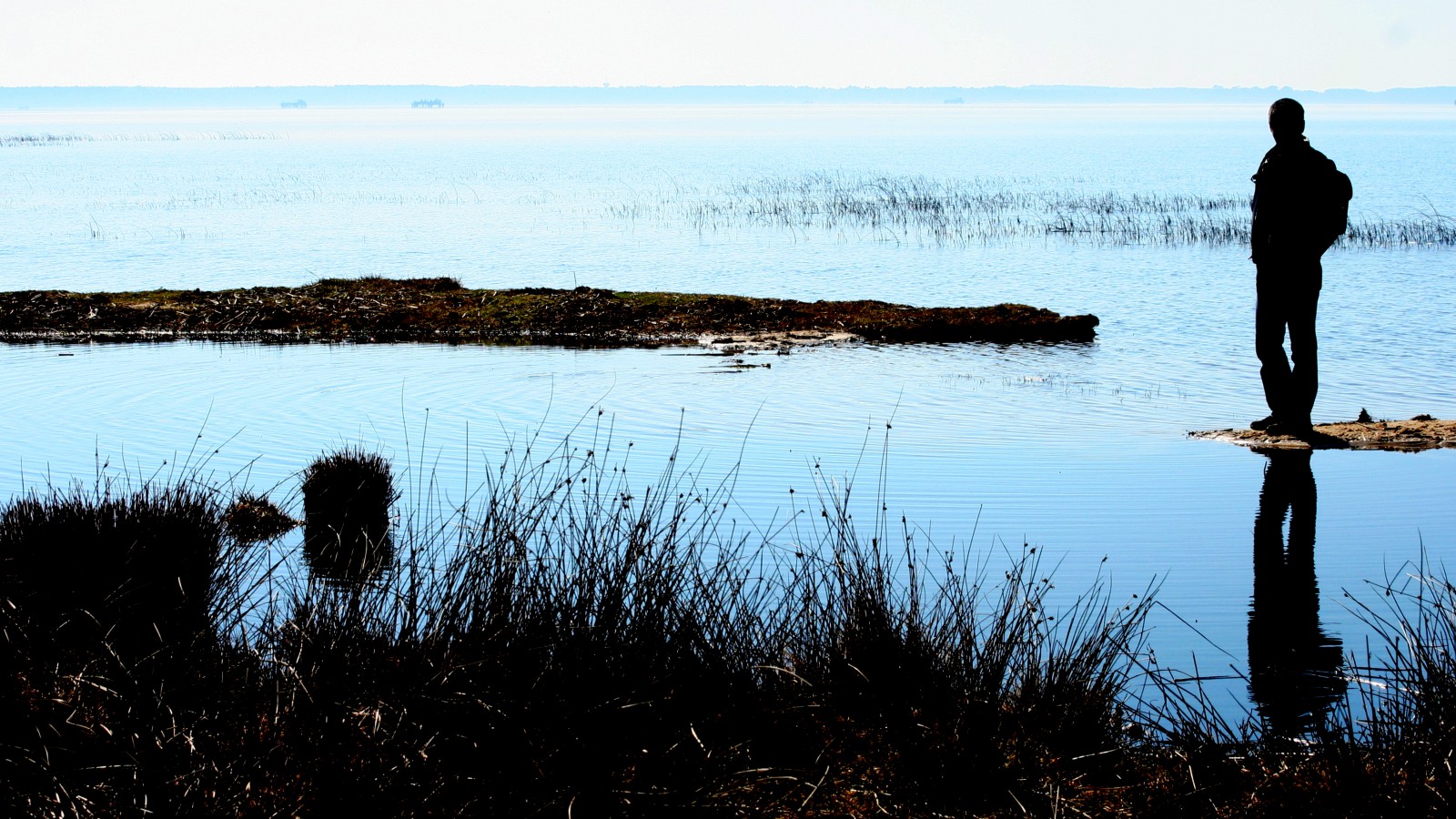 6ème journée régionale autisme